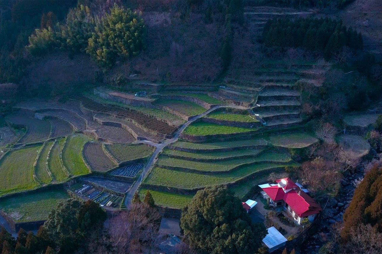 番所地区の棚田